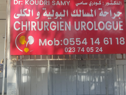 Dr koudri samy chirurgien urologue